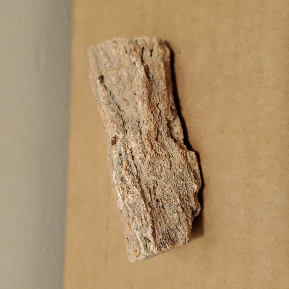 Petrified Wood